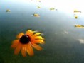 /album/photogallery/a22-jpg/